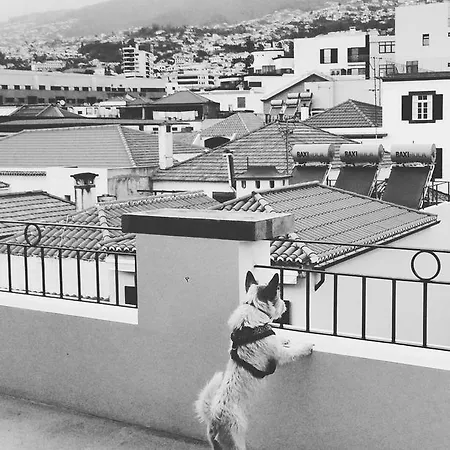 Endemic - Concept Appartement *