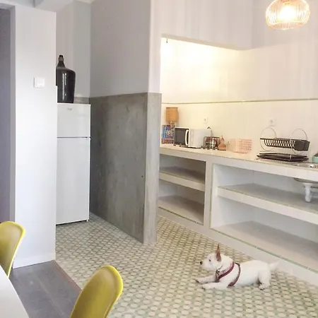 Apartman Endemic - Concept *